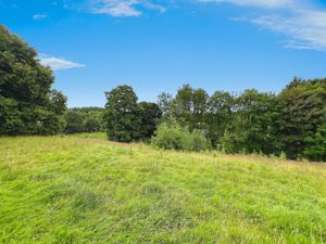 Front Views- click for photo gallery